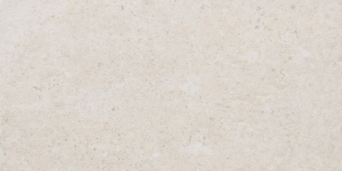 Tuscany White 8×16 Field Tile Matte