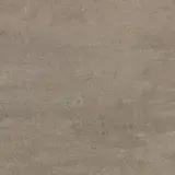 Theoretical Evolved Hibernate Brown 24×24 Field Tile Matte Rectified