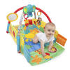 Sunny Safari™ Baby's Play Place™ Activity Gym