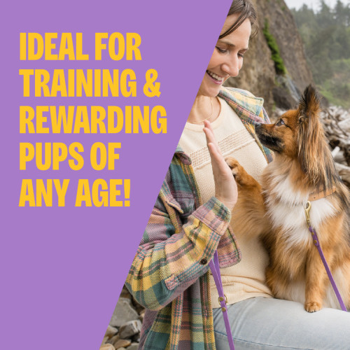 The benefits of Wellness Puppy Bites Soft Lamb & Salmon