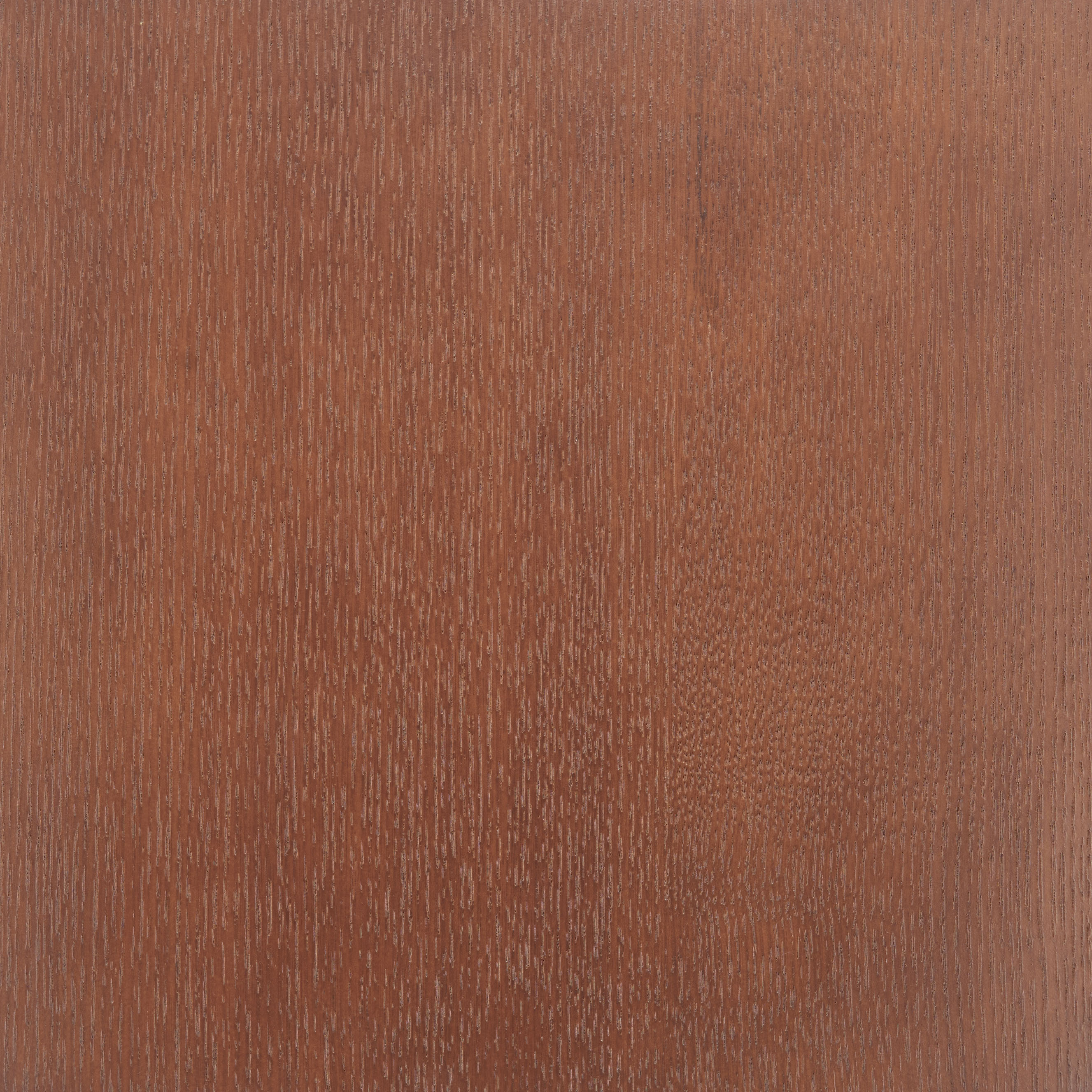Kellua Dining Chair (Set of 2) Beige & Walnut product image