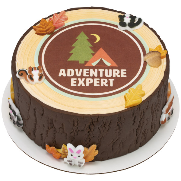 Woodland Animals Assortment Dec-Ons® Decorations