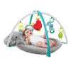 Enchanted Elephants Activity Gym™