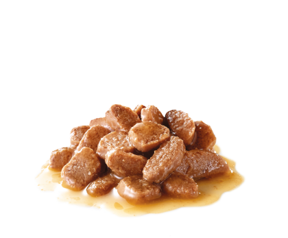 Appetite Control Care (in gravy) kibble