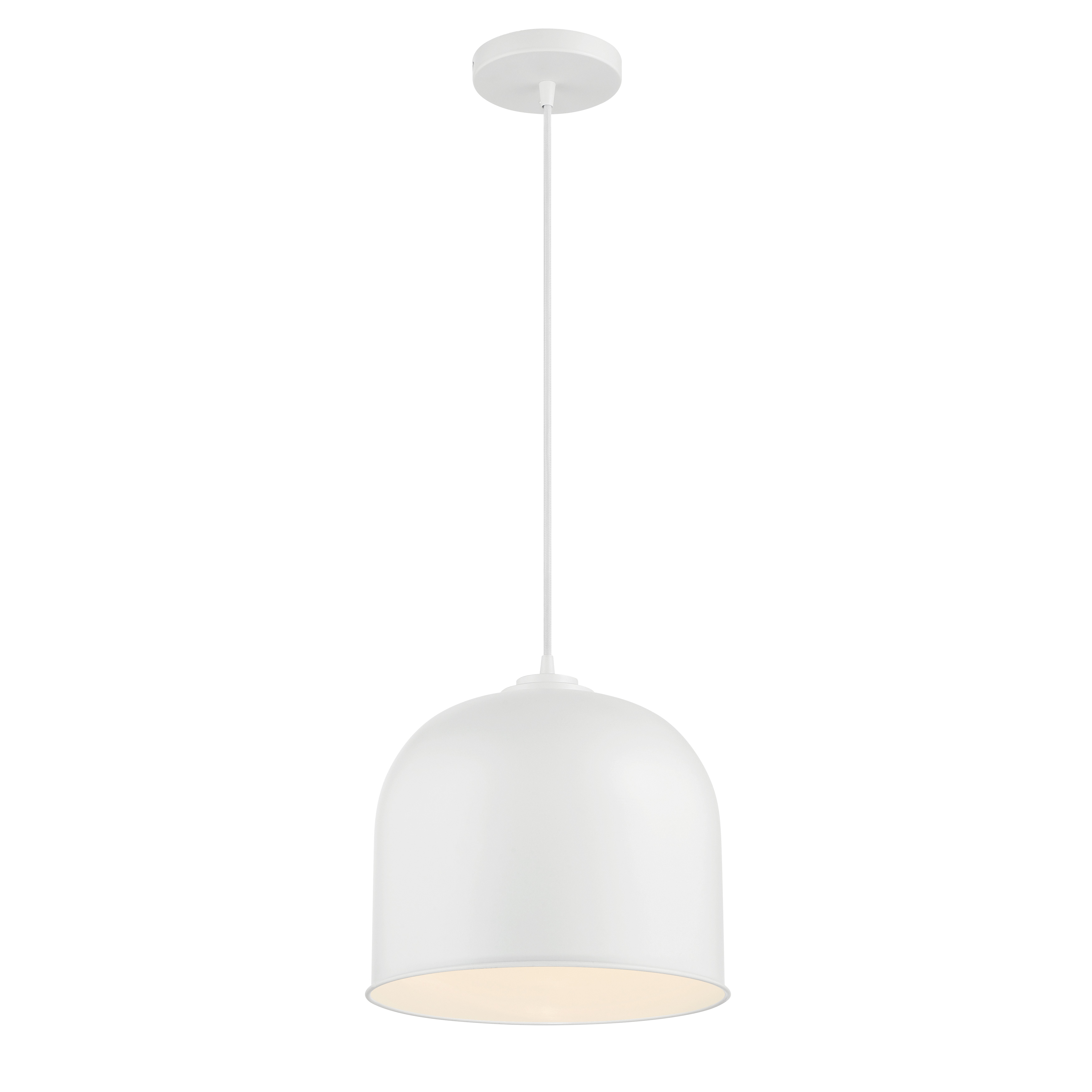 1 Light Pendant