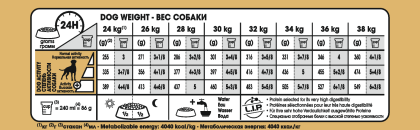 Boxer Adult feeding guide