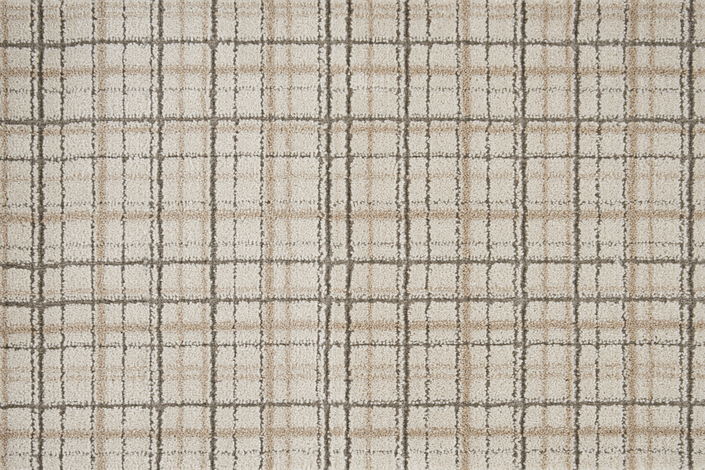 color-rug1
