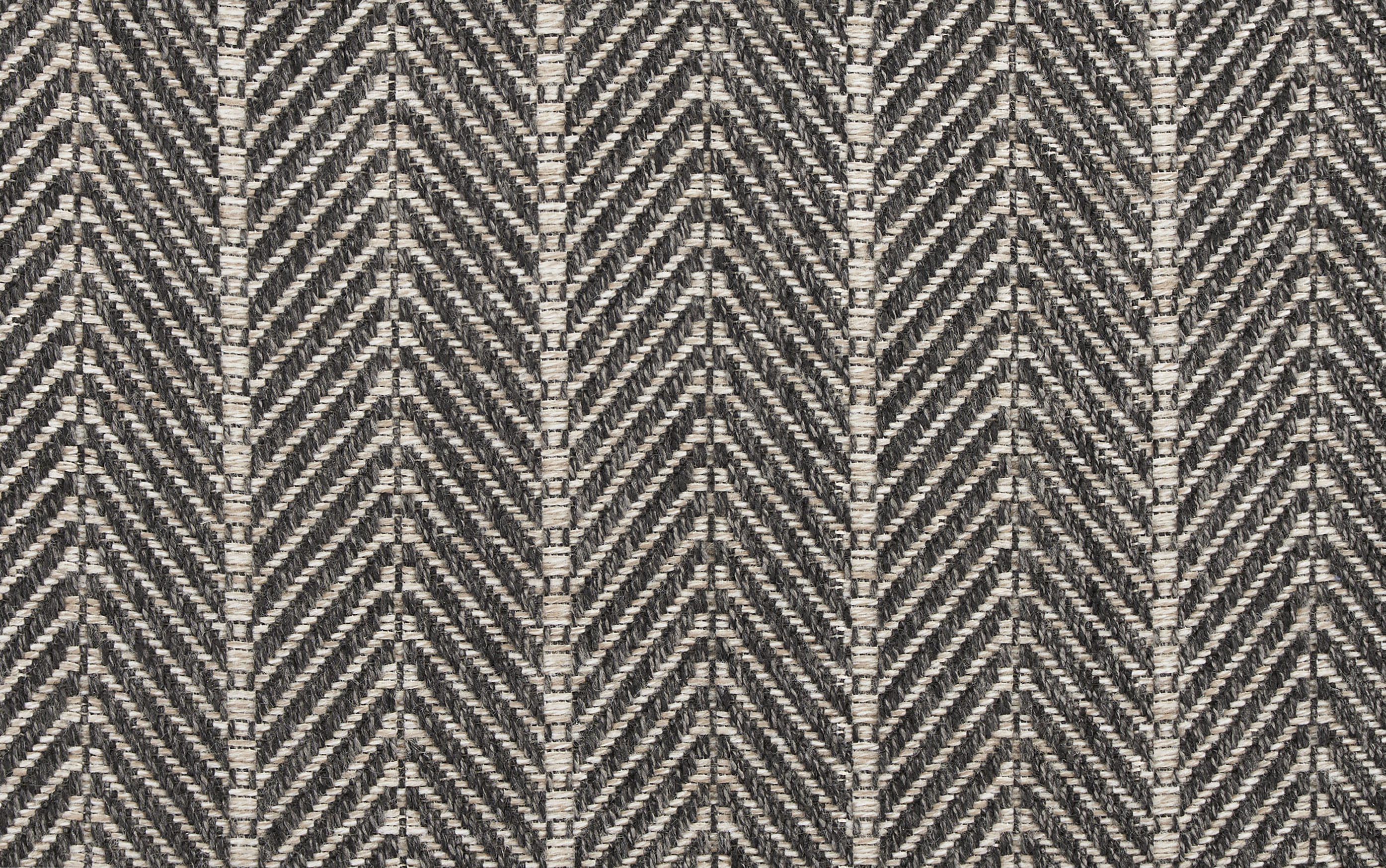 color-rug1
