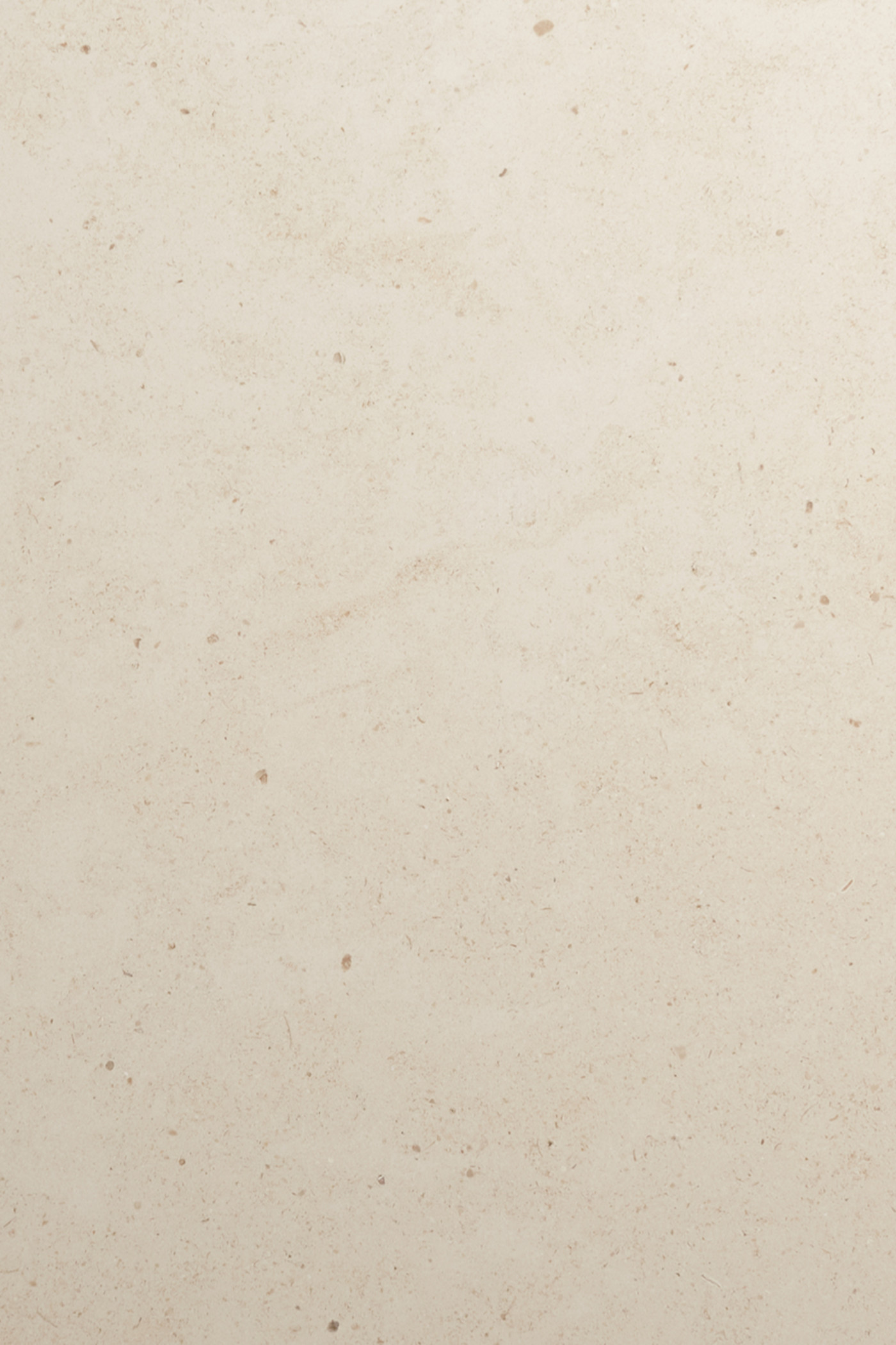 a close up image of a beige limestone surface.