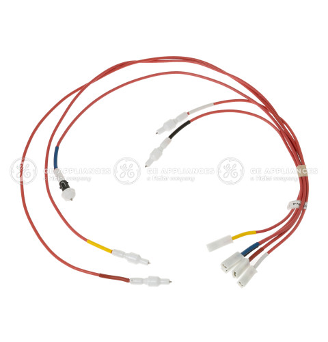 ELECTRODES & HARNESS H.V