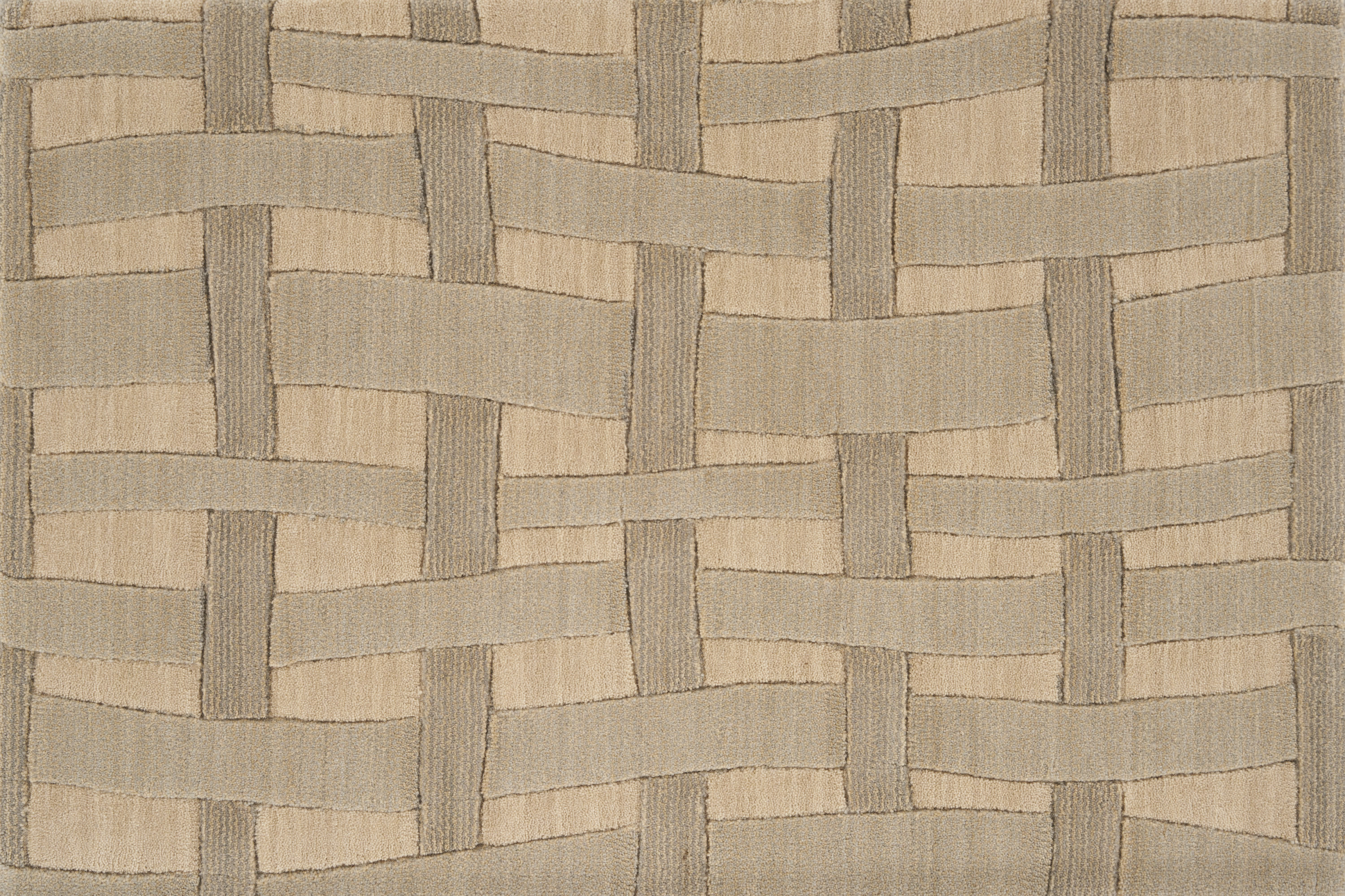 color-rug1