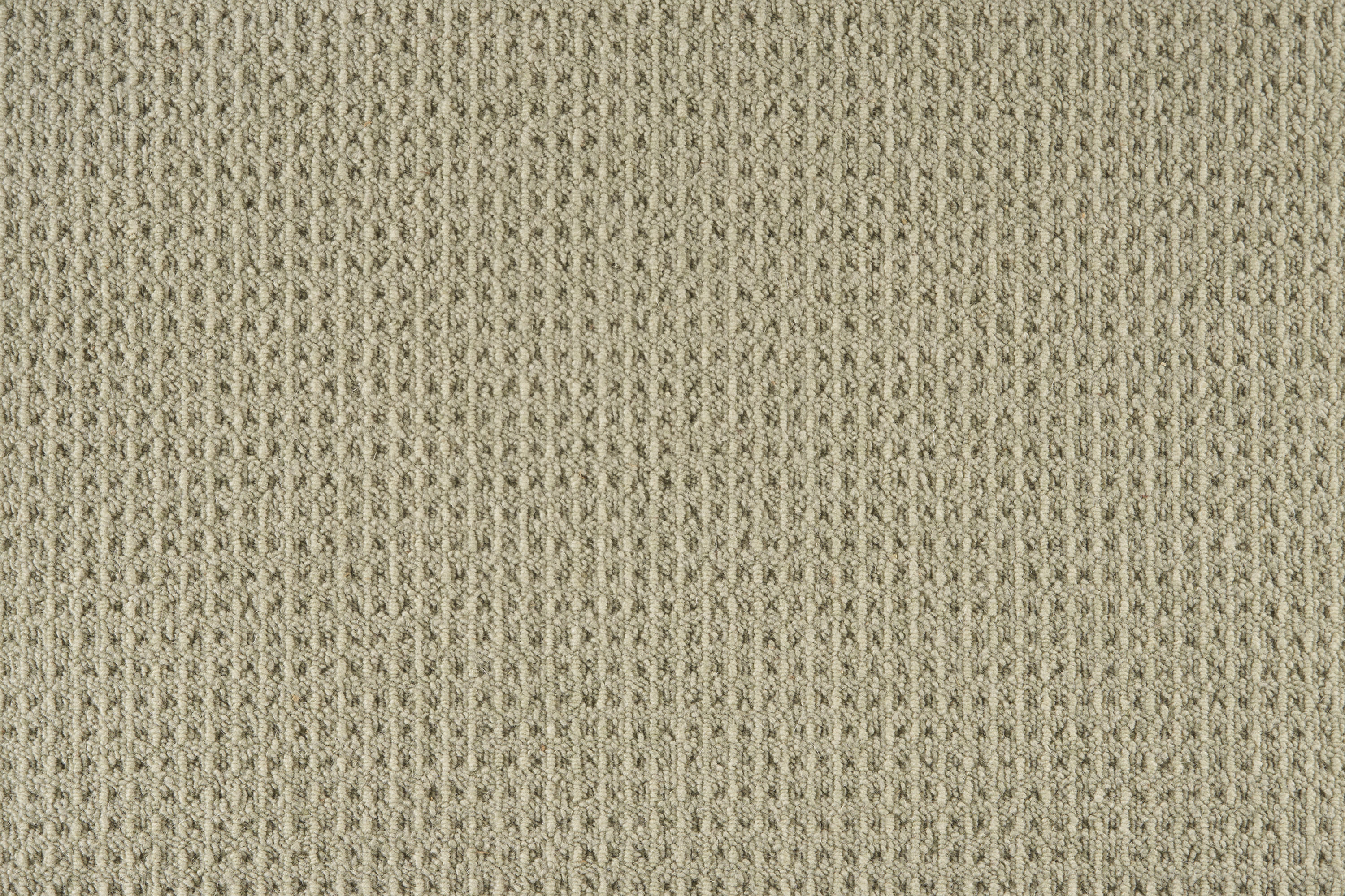 color-rug1