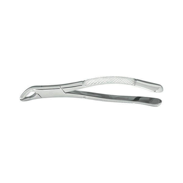 Nordent #101 Pedo, Upper Universal Extraction Forcep
