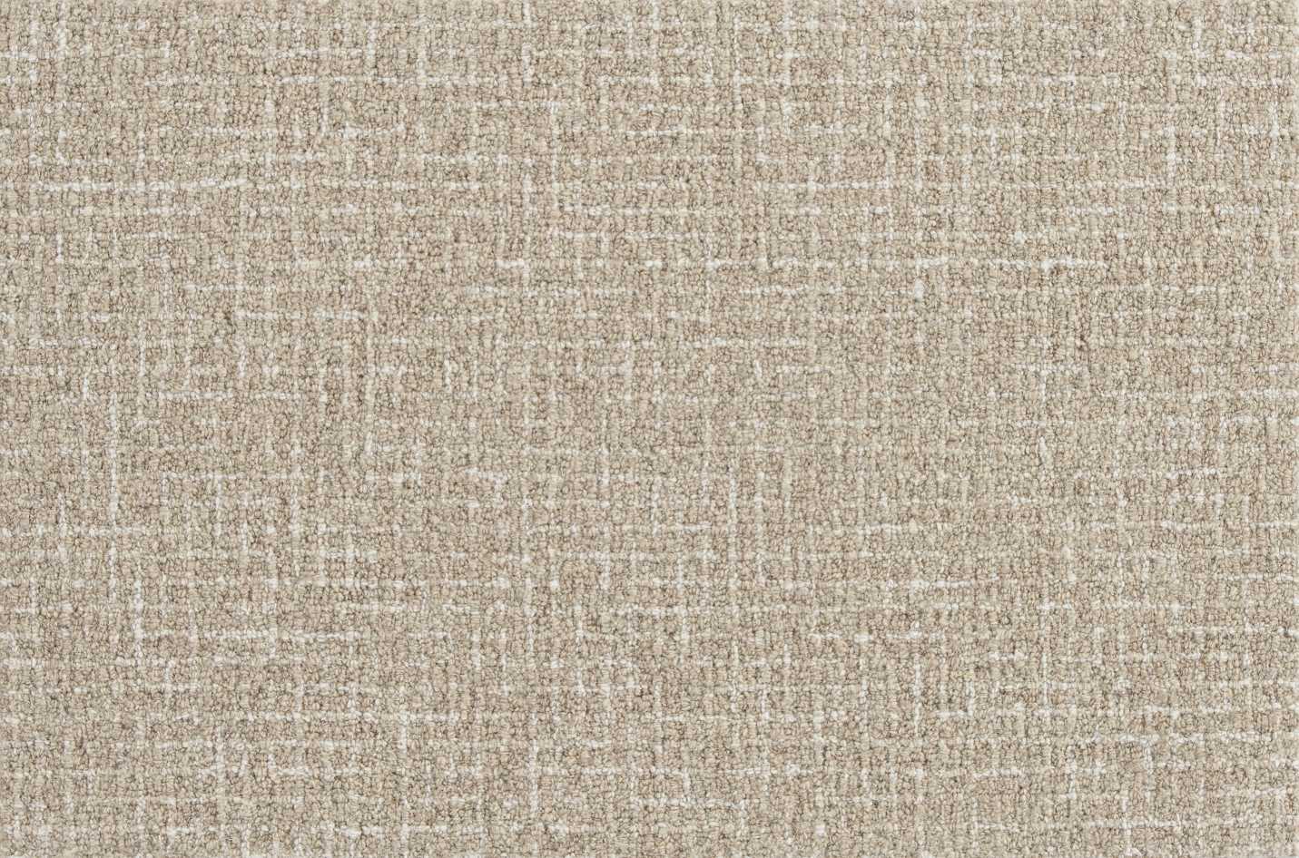 color-rug1
