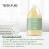 Diversified Hospitality, Terra Pure Green Tea Shampoo Liquid Shampoo,  1 gal Bottle