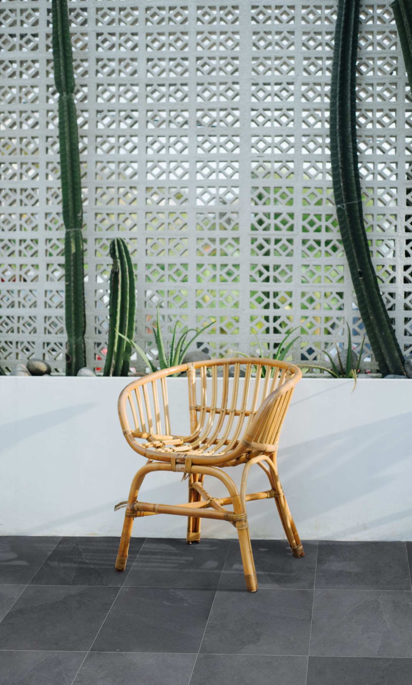 a wicker chair in front of a wall with cactus plants.