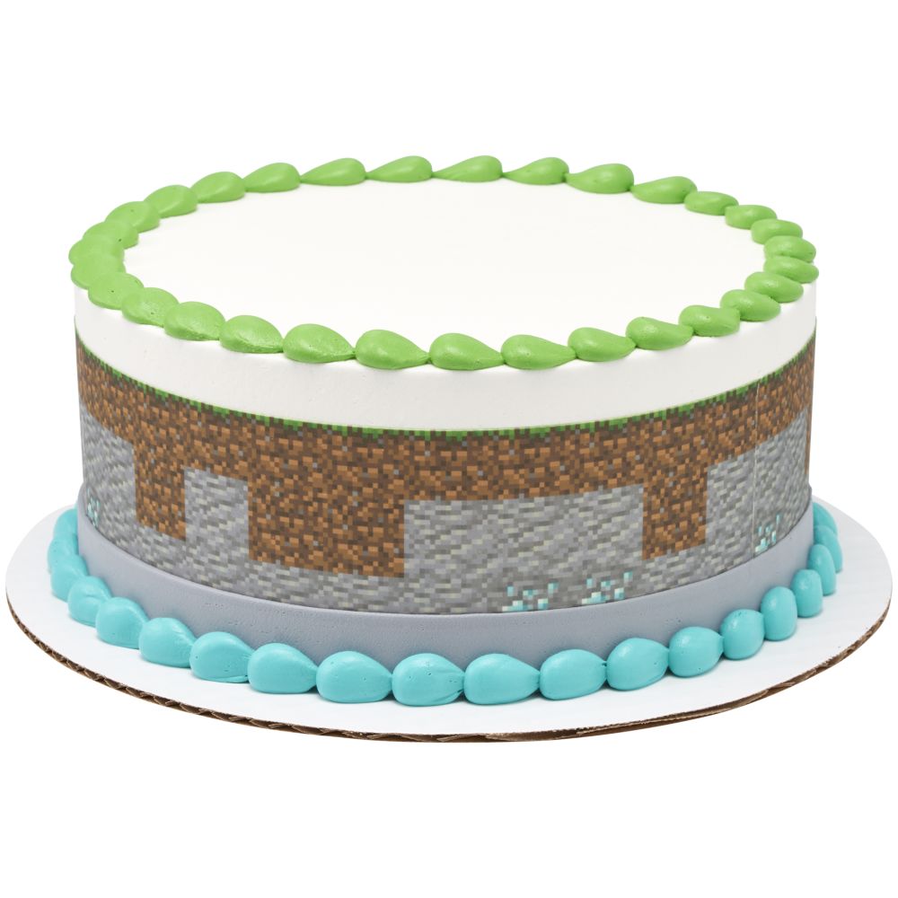 Image Cake MINECRAFT Build