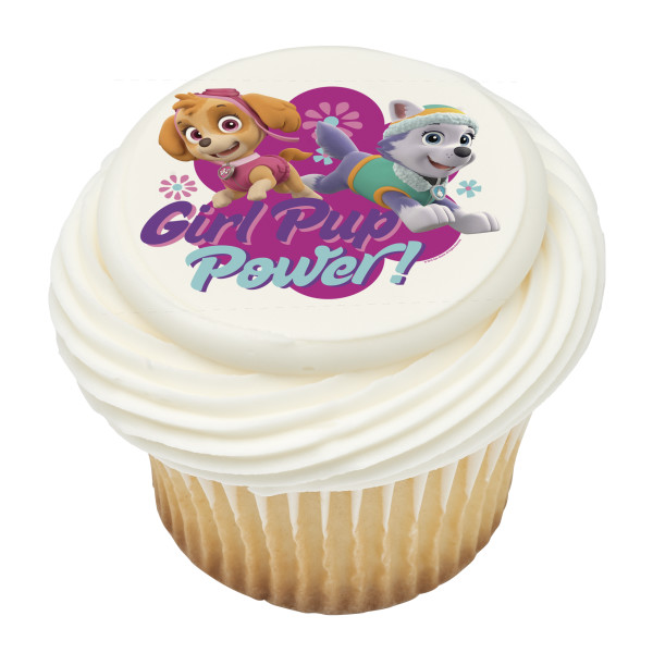 Paw Patrol Girl Pup Power Photocake Image | DecoPac