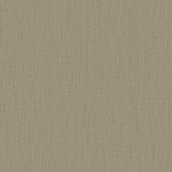 SOIL-81 Curtains