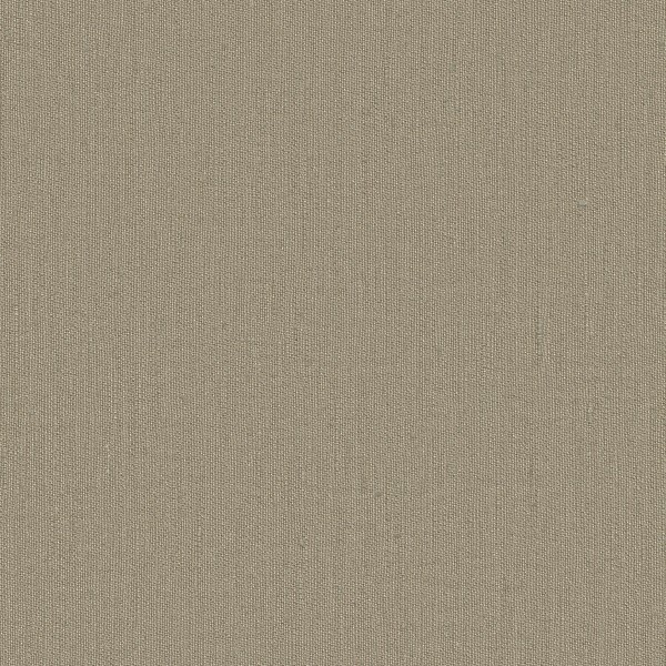 SOIL-81 Curtains