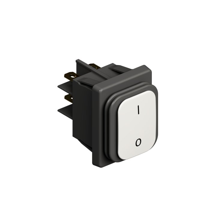 RECT POWER SWITCH 120V DPST -P