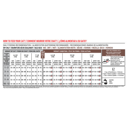 Royal Canin Veterinary Diet Feline Gastrointestinal Kitten Dry Cat Food