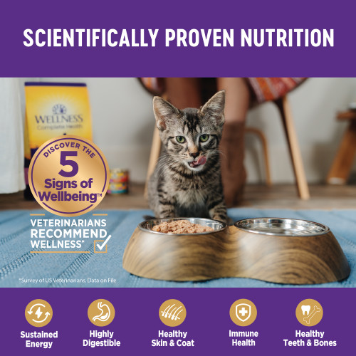 The benifts of Wellness Complete Health Pate Kitten Chicken Pate