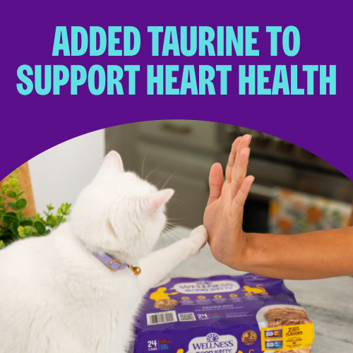 The benefits of Good Dog & Good Kitty Good Kitty  Chicken Recipe and Chicken & Cod Recipe