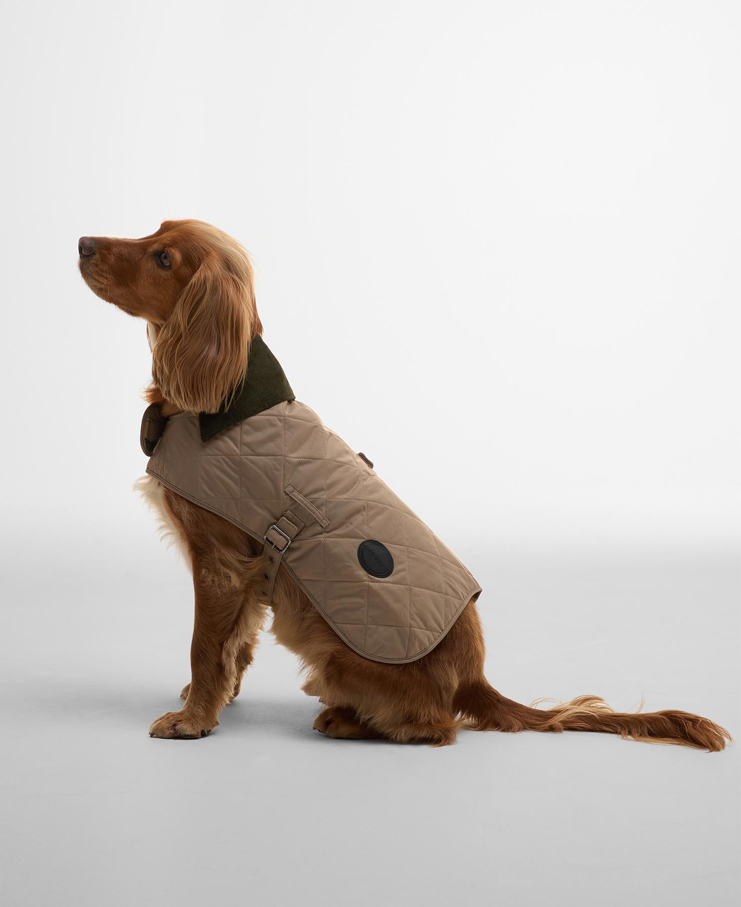 Cappotto trapuntato per cani image number 0