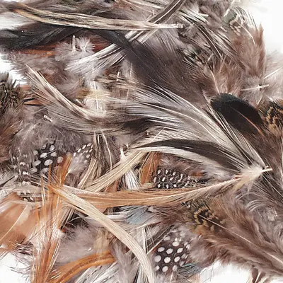 Creativity Street  Natural Feathers, Natural Assorted Colors,  Assorted Sizes, 1/2 oz.