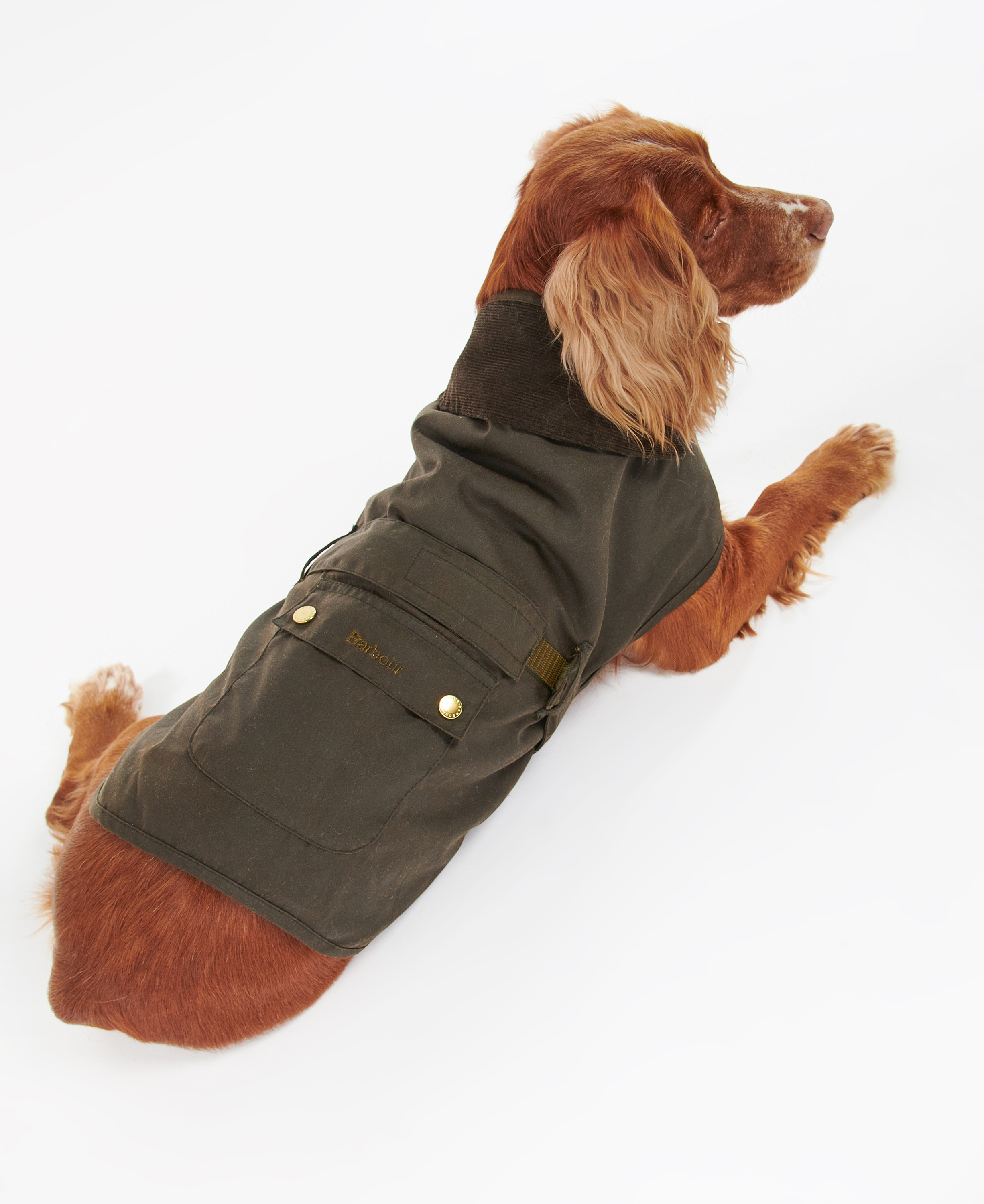 2-in-1 Waxed Dog Coat image number 0