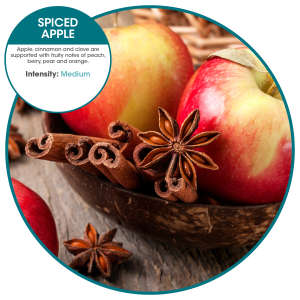 Hillyard, Eco-Air, Air Freshener, Spiced Apple