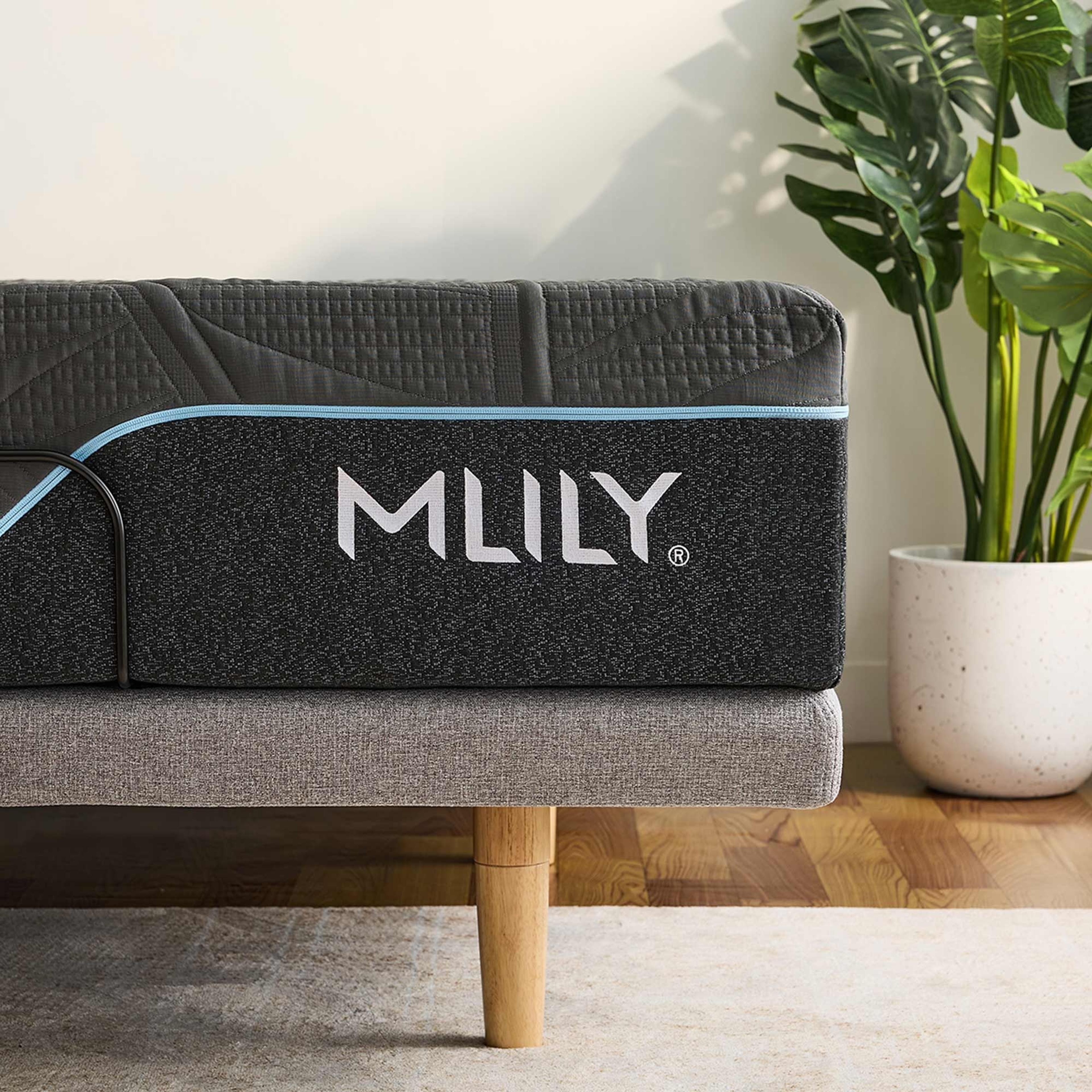 Product image of the  Mlily Irecover Ultimate Adjustable Base from Forty Winks