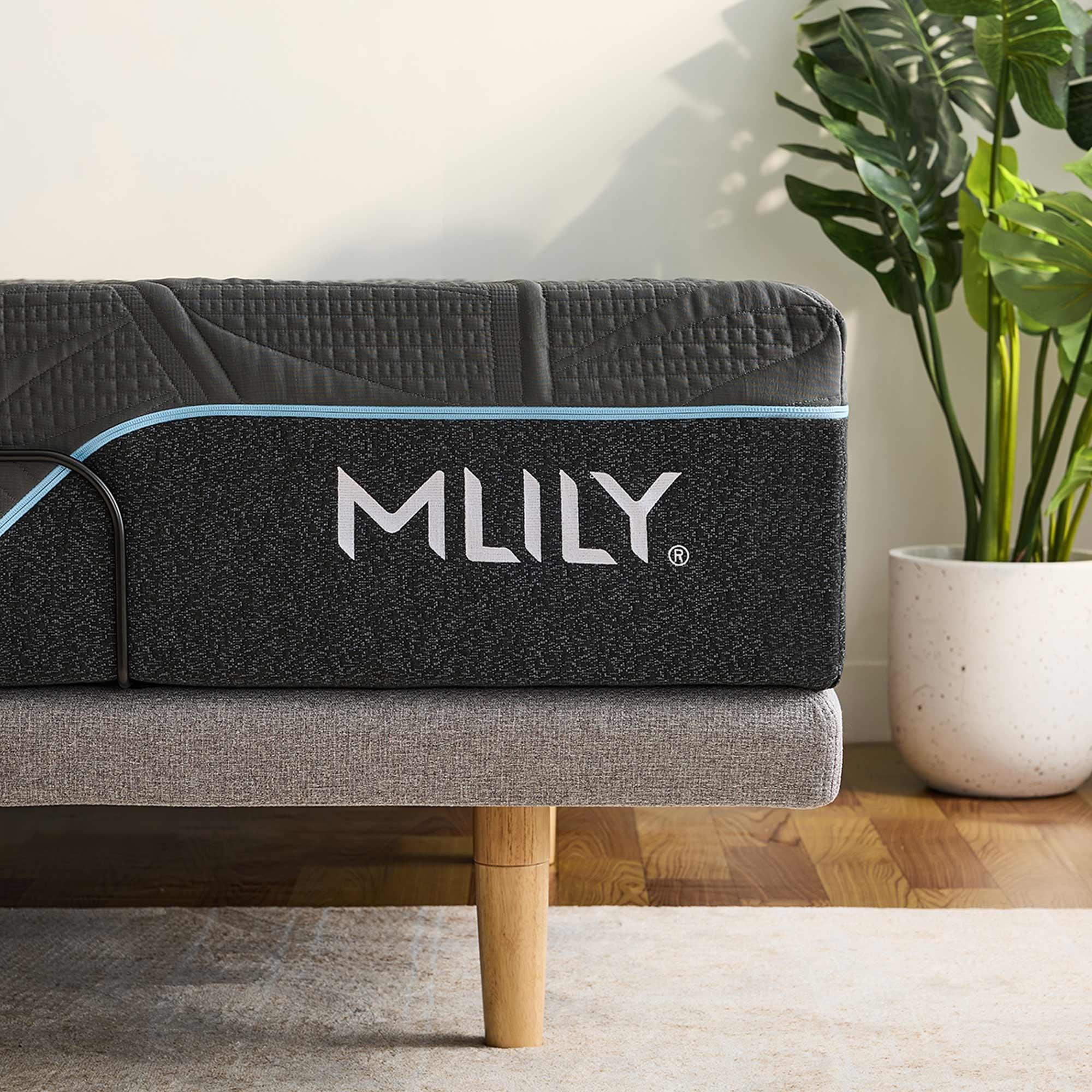 Product image of the  Mlily Irecover Ultimate Adjustable Base from Forty Winks