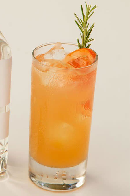 LALO Rosemary Paloma