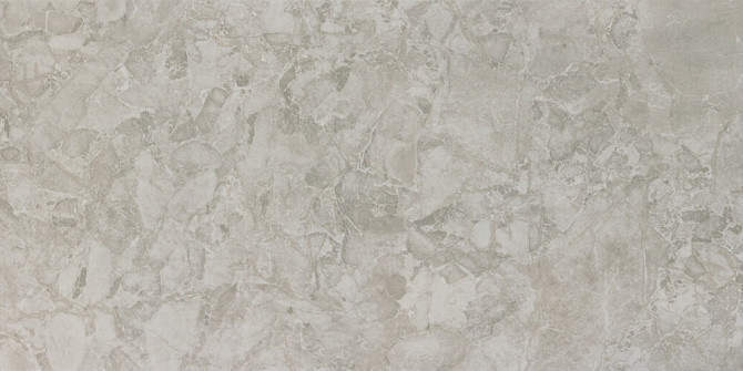 Forgehaus Chroma 24×48 Field Tile Rectified