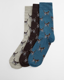 Pointer Dog Socks Gift Box 