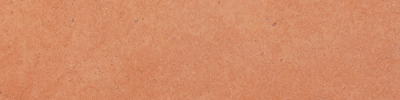 Argent Orange Crush 6×24 Field Tile Honed Rectified