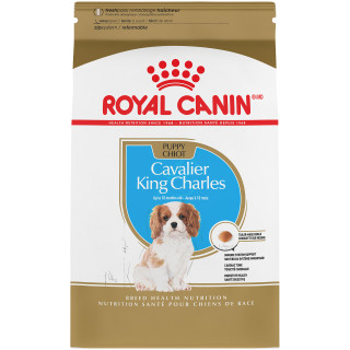 Cavalier King Charles Puppy Dry Dog Food