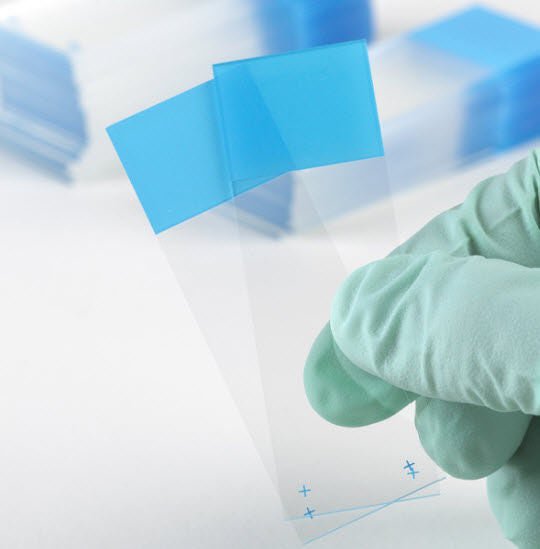 Positive Charged Microscope Slide