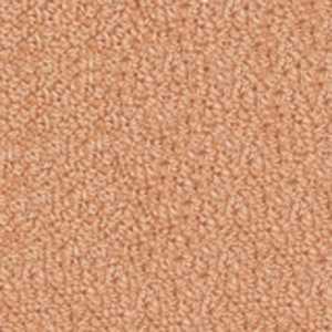 color-rug1