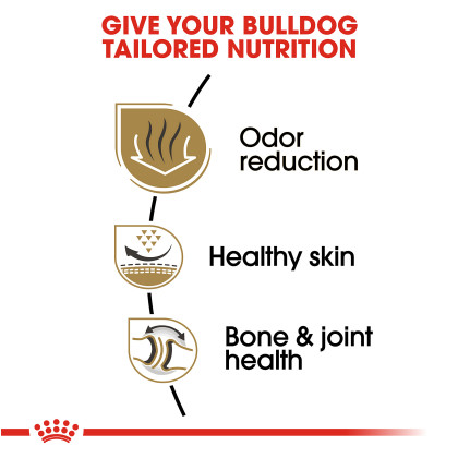 Bulldog Adult Dry Dog Food