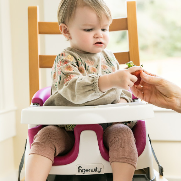 Baby Base 2-in-1™ Seat � Pink Flambe