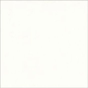 White square panel with a faint gray border centered in frame, blank and uniformly lit, appearing as an empty sheet or canvas against a neutral background.