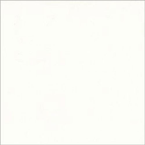 White square panel with a faint gray border centered in frame, blank and uniformly lit, appearing as an empty sheet or canvas against a neutral background.