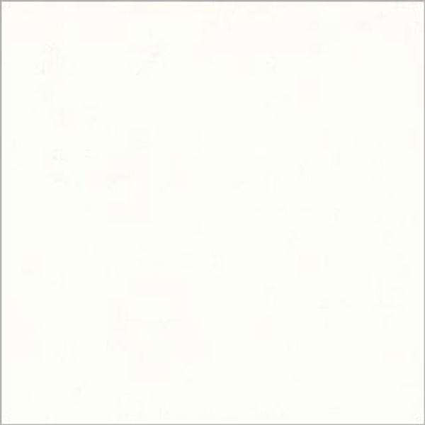 White square panel with a faint gray border centered in frame, blank and uniformly lit, appearing as an empty sheet or canvas against a neutral background.