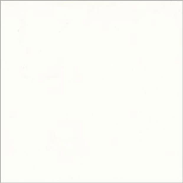 White square panel with a faint gray border centered in frame, blank and uniformly lit, appearing as an empty sheet or canvas against a neutral background.