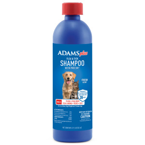 12ea/12 fl oz