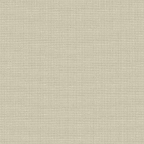 Acacia Wide Oyster Roller Blind