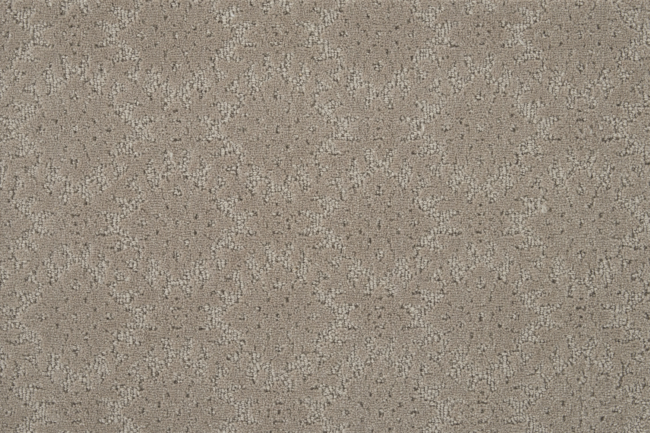 color-rug1